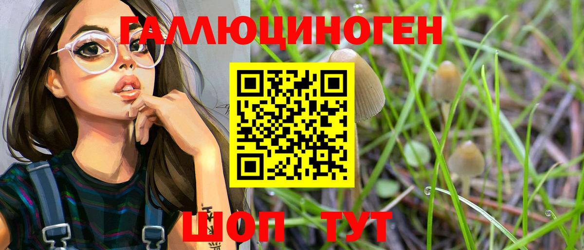 Галлюциногенные грибы Psilocybe  Вход с VPN  Псилоцибиновые грибы прущие грибы  Белорецк 